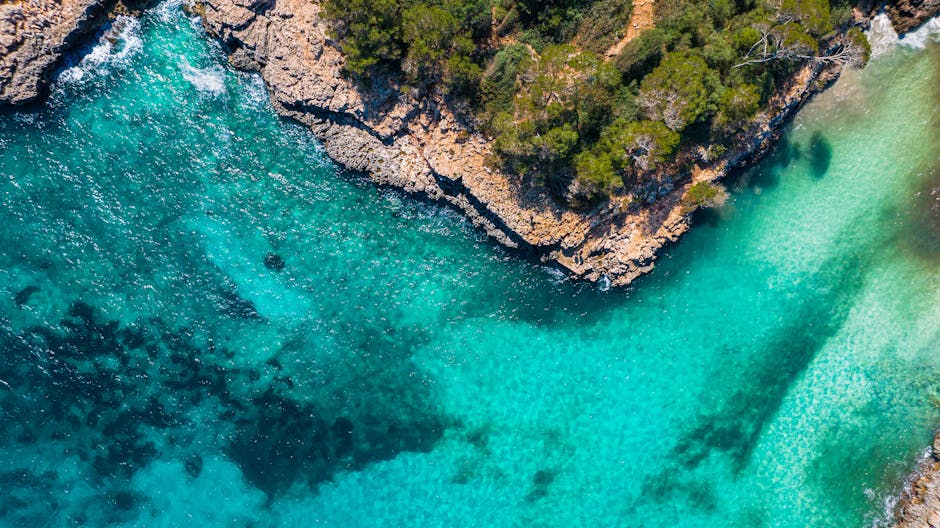 Cala de aguas turquesa cerca de Llafranc