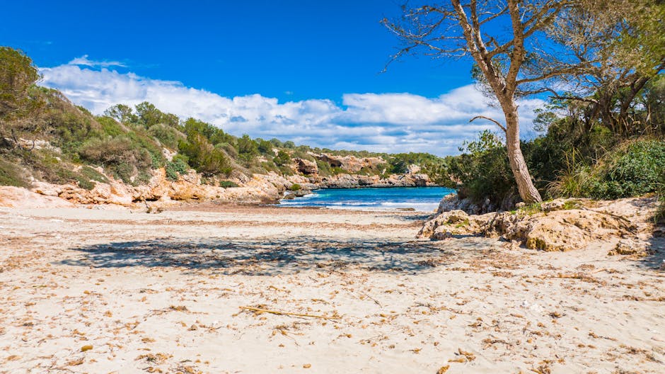 Cala mediterranea en Calella de Palafrugell