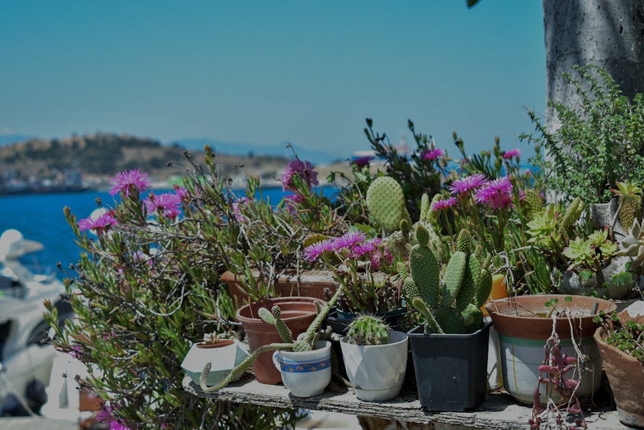 Jardines junto al mar en la Costa Brava